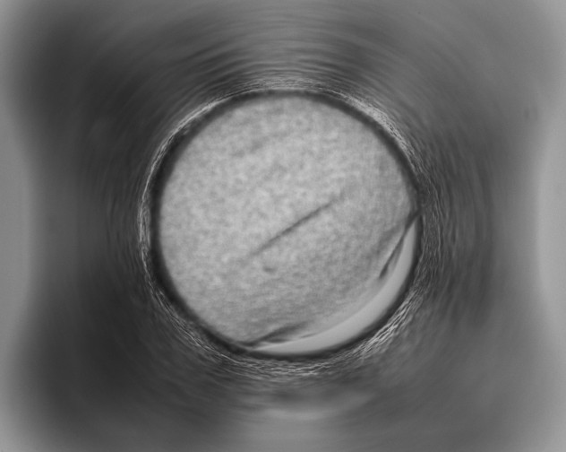 X0000095950979200802081254