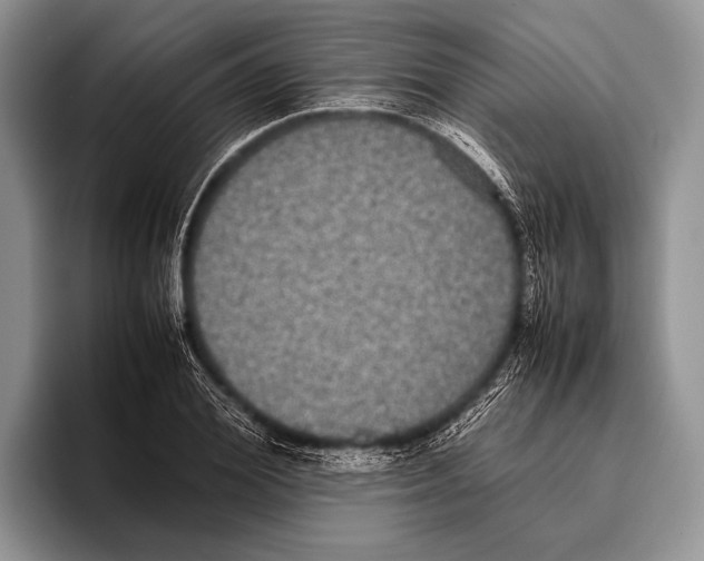 X0000095950980200802081254