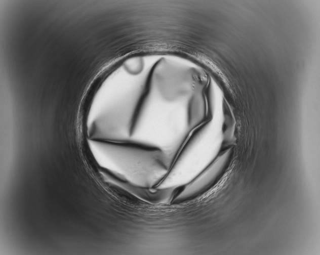 X0000095950981200802081254