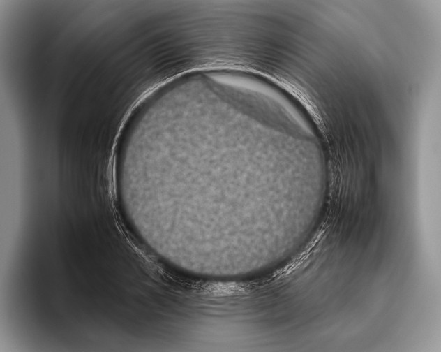 X0000095950982200802081254