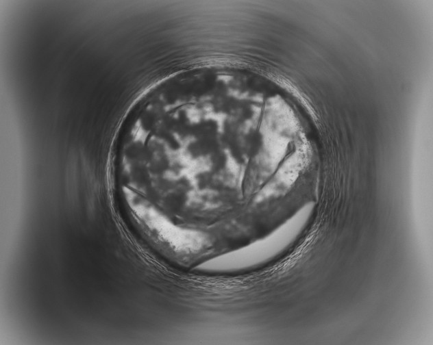 X0000095950983200802081254