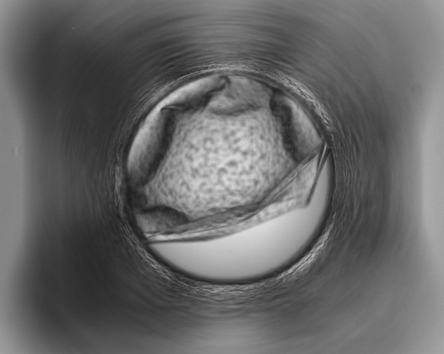 X0000095950985200802081254