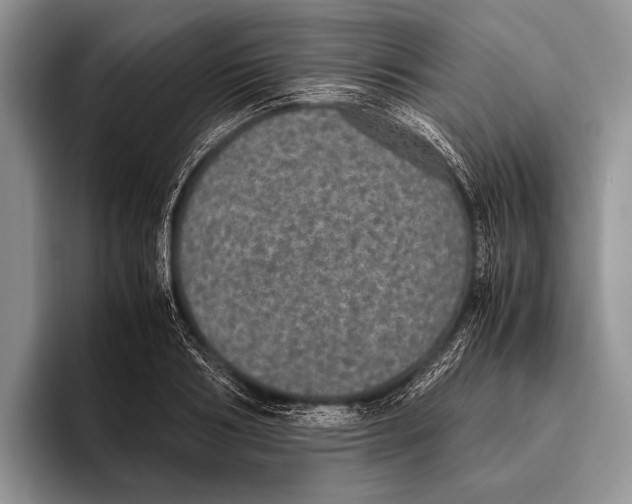 X0000095950986200802081254