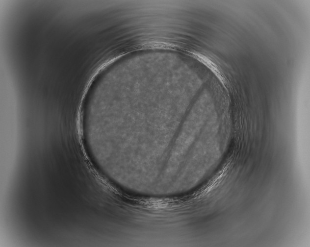 X0000095950987200802081254