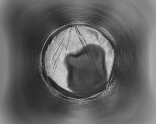 X0000095950988200802081254