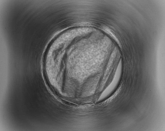 X0000095950989200802081254