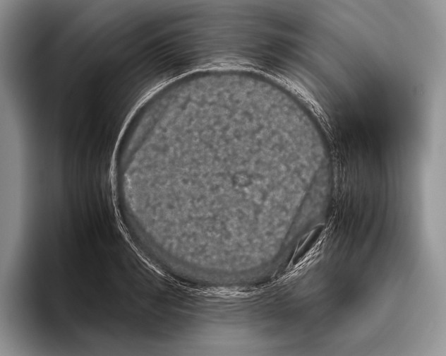 X0000095950990200802081254