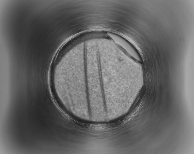 X0000095950991200802081254