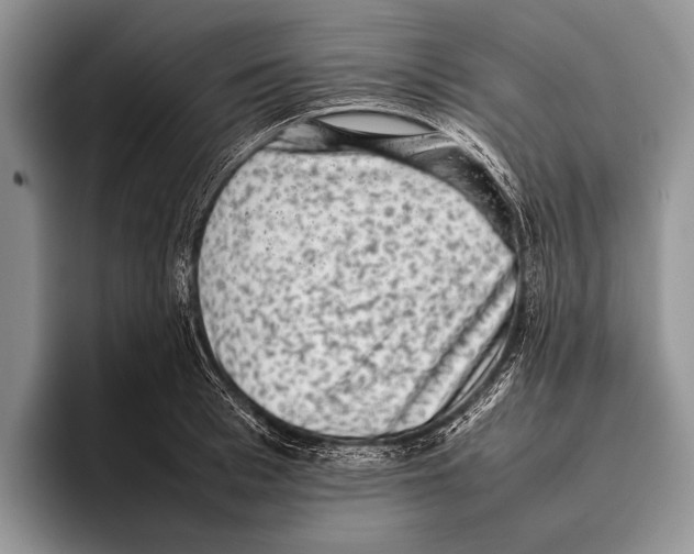 X0000095950993200802081254