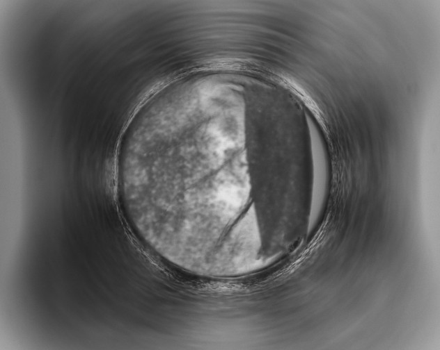 X0000095950994200802081254