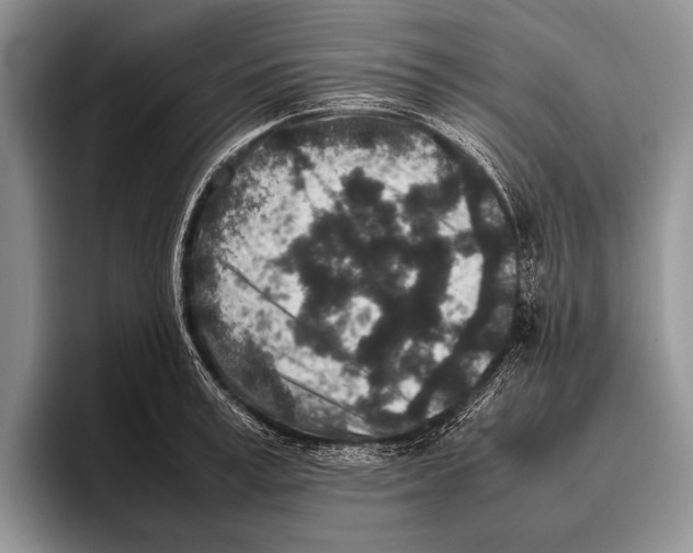 X0000095950995200802081254