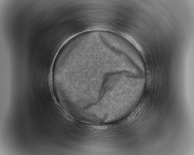 X0000095950996200802081254