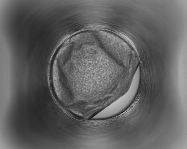 X0000095950997200802081253