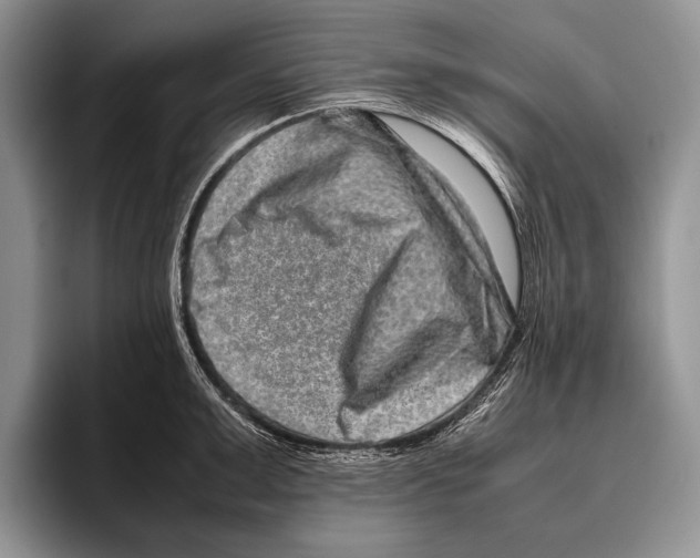 X0000095950999200802081253