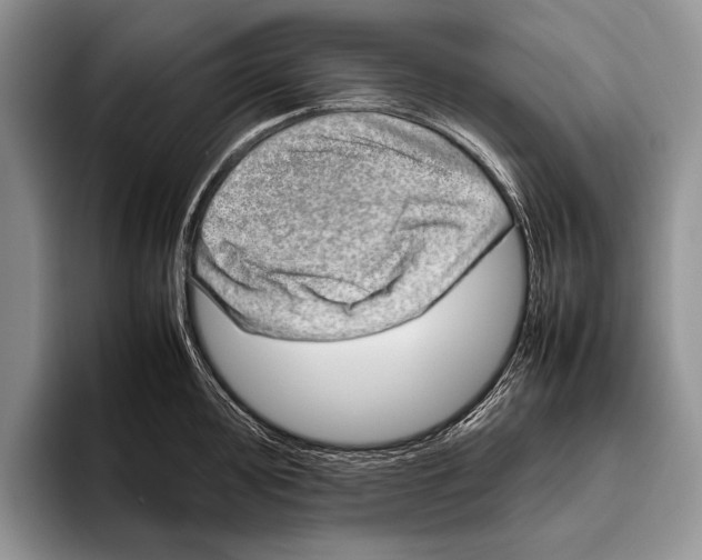 X0000095951000200802081253