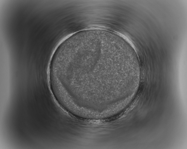 X0000095951003200802081253