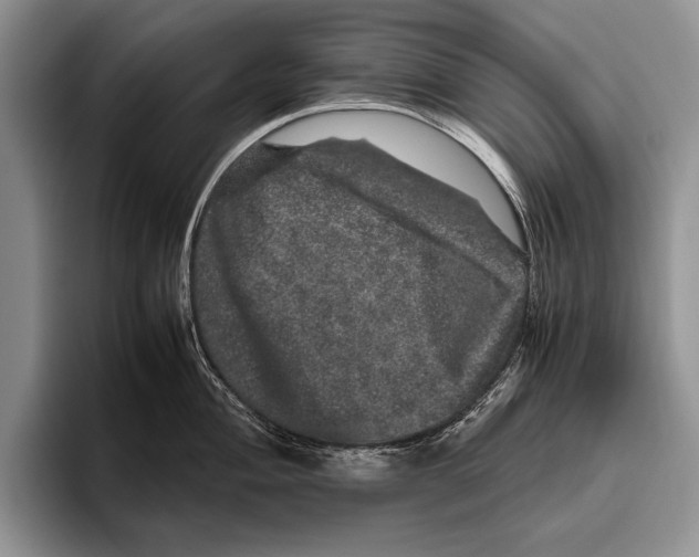 X0000095951004200802081253