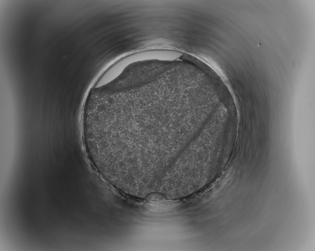 X0000095951008200802081253