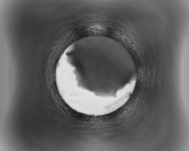 X0000095951009200802081253