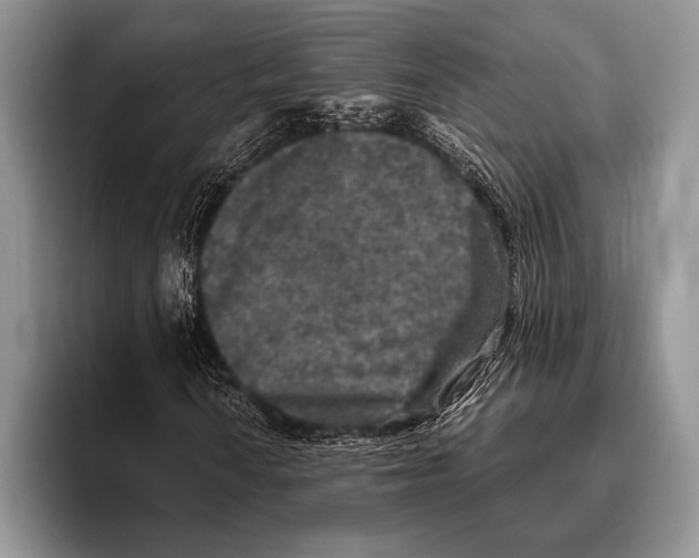 X0000095951010200802081253