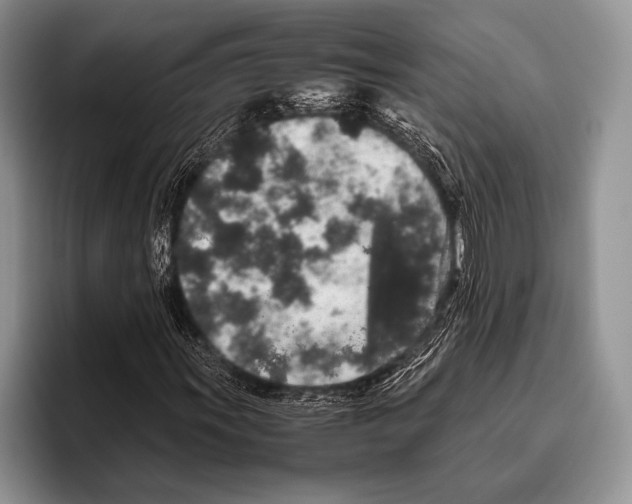 X0000095951011200802081253