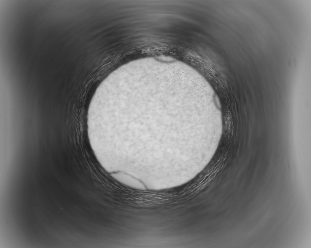 X0000095951012200802081253