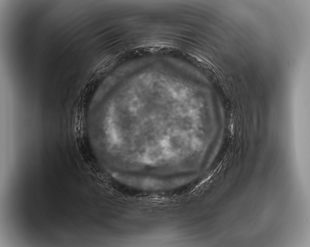 X0000095951014200802081253