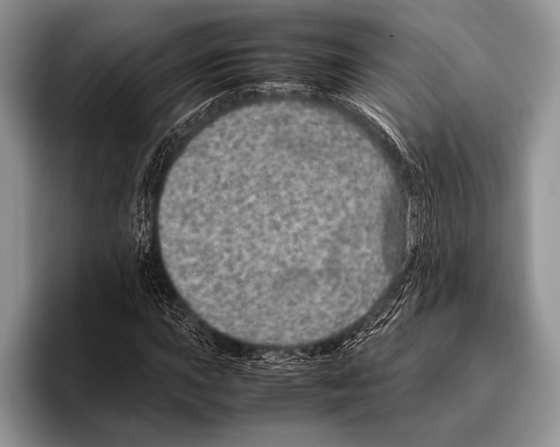 X0000095951015200802081253