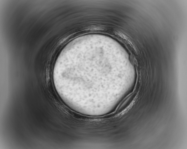 X0000095951017200802081253