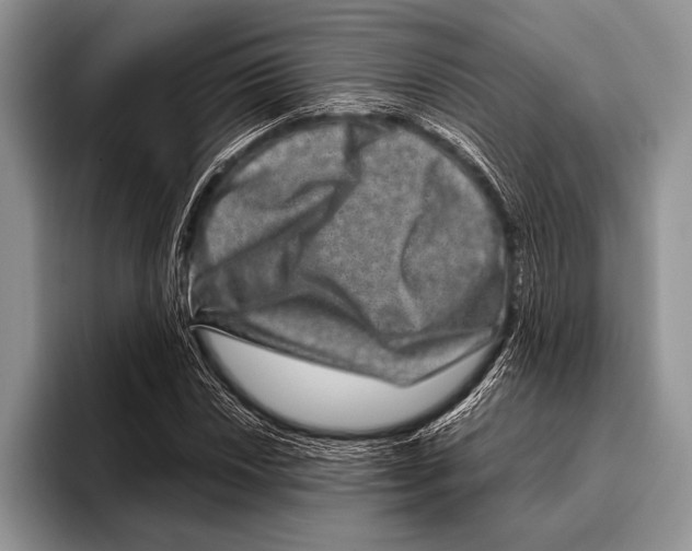 X0000095951018200802081253