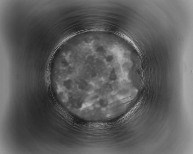 X0000095951019200802081253