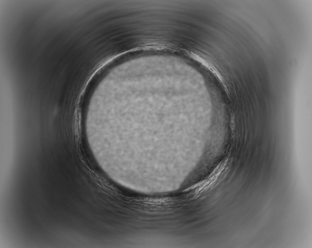 X0000095951021200802081253