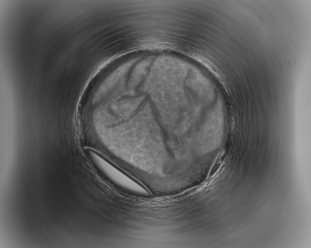 X0000095951022200802081253