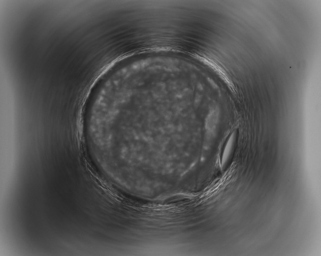 X0000095951023200802081253