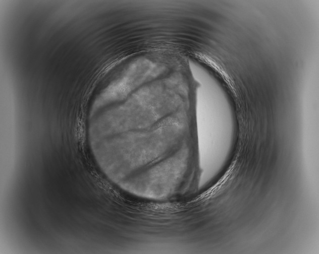 X0000095951025200802081253