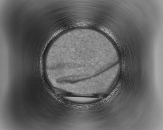 X0000095951026200802081253