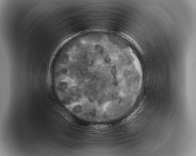 X0000095951027200802081253