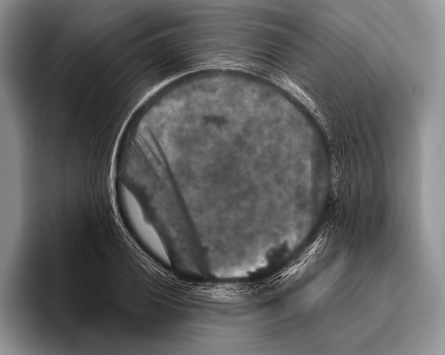 X0000095951028200802081253