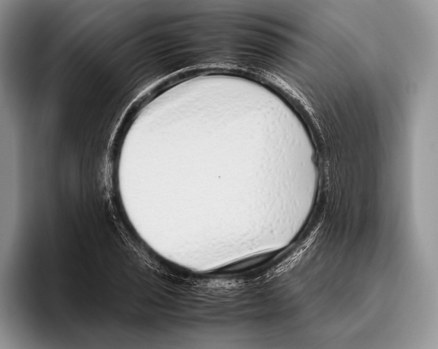 X0000095951029200802081253