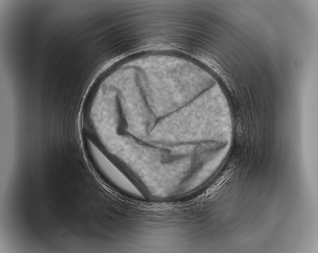 X0000095951030200802081253