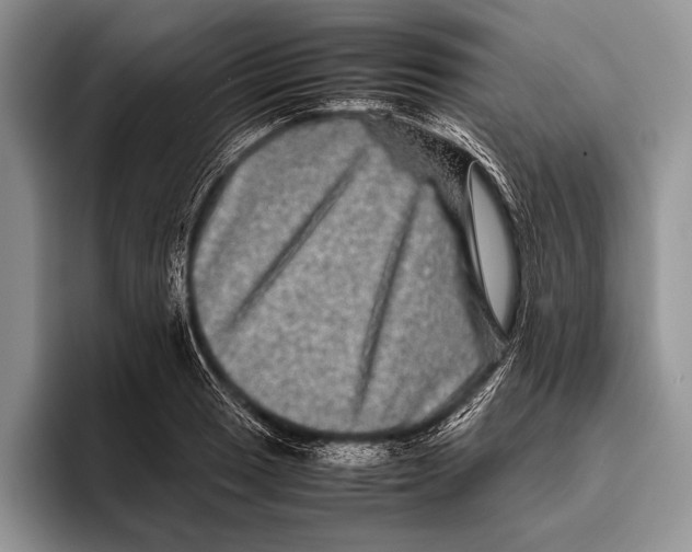 X0000095951033200802081253