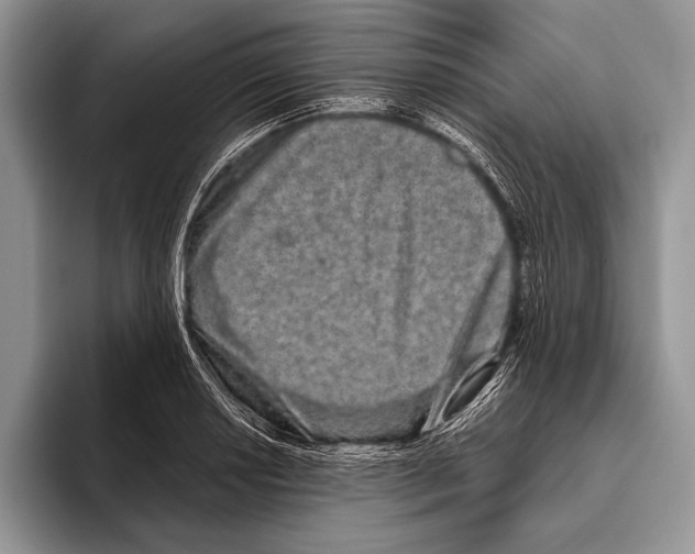 X0000095951034200802081253