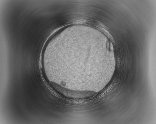 X0000095951036200802081253