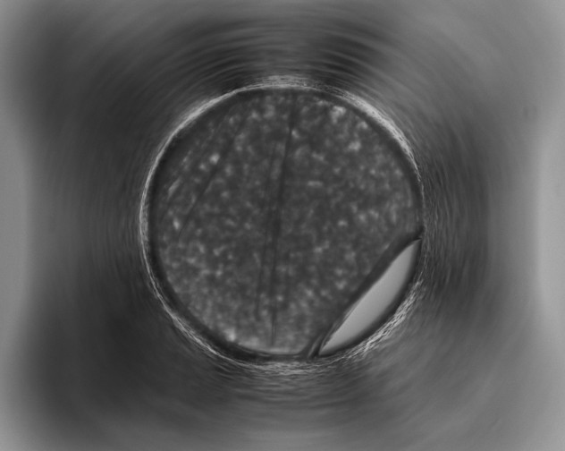 X0000095951037200802081253