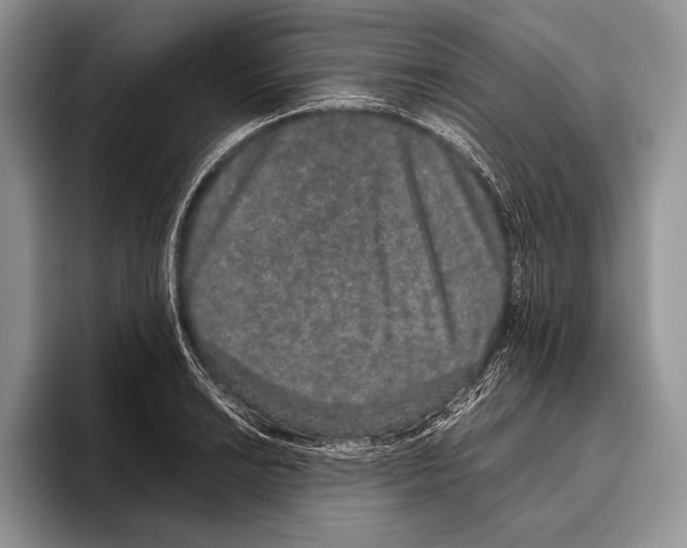 X0000095951038200802081253