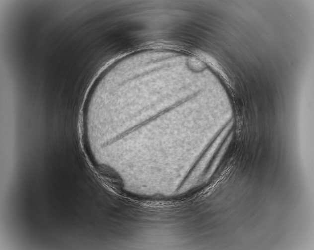 X0000095951040200802081253