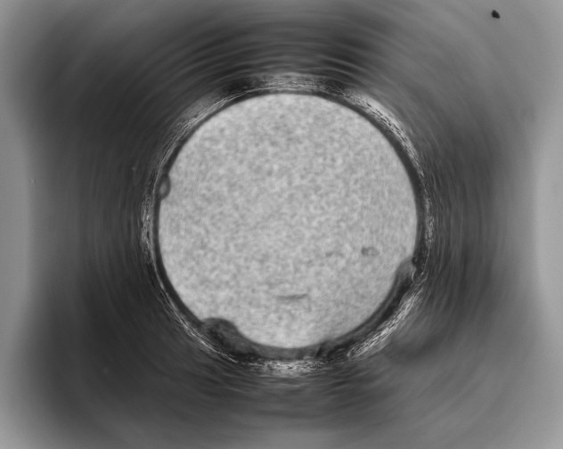 X0000095951041200802081253