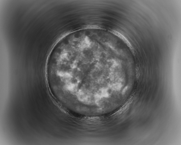 X0000095951043200802081253