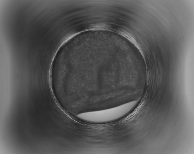 X0000095951045200802081253