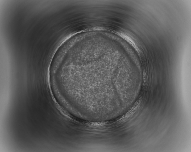 X0000095951047200802081253